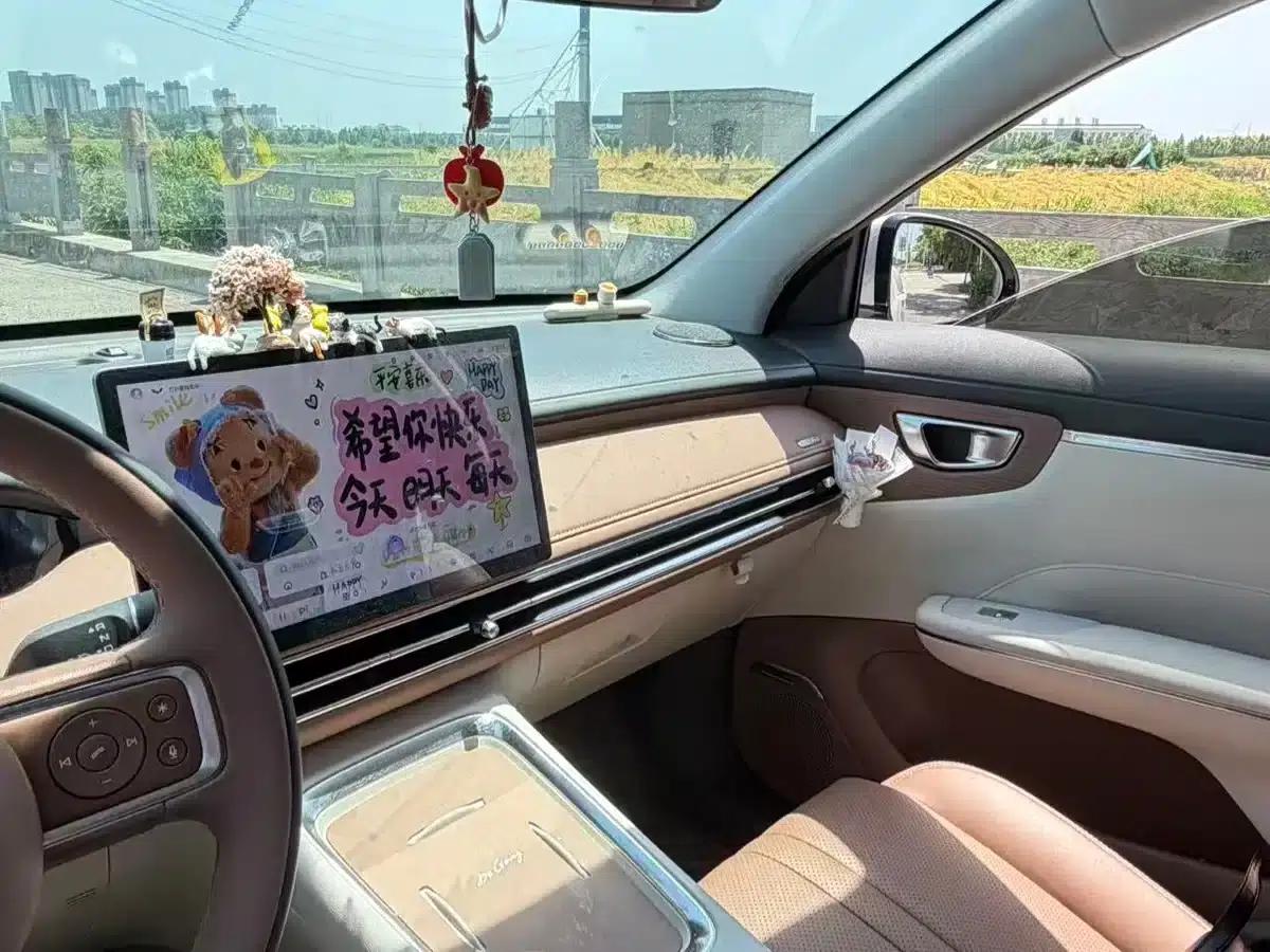 Bingo S 2025 Model 325km Premium Edition — миниатюра 19