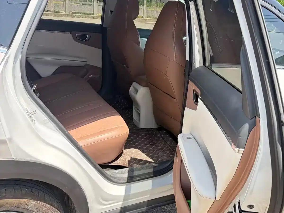 Bingo S 2025 Model 325km Premium Edition — миниатюра 10