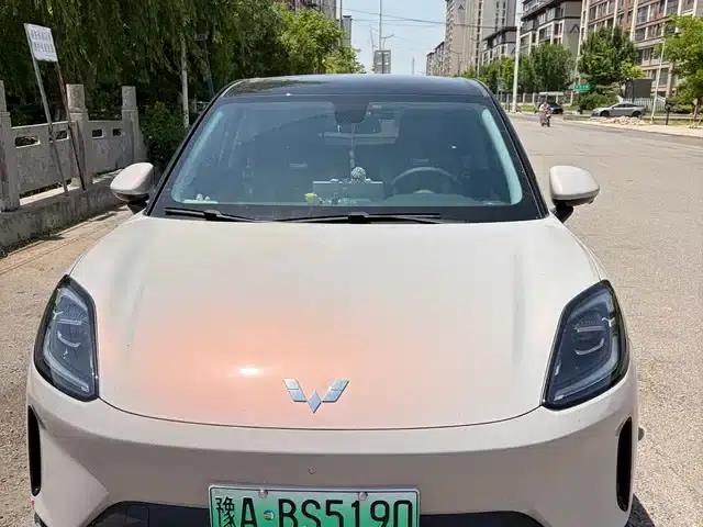 Bingo S 2025 Model 325km Premium Edition