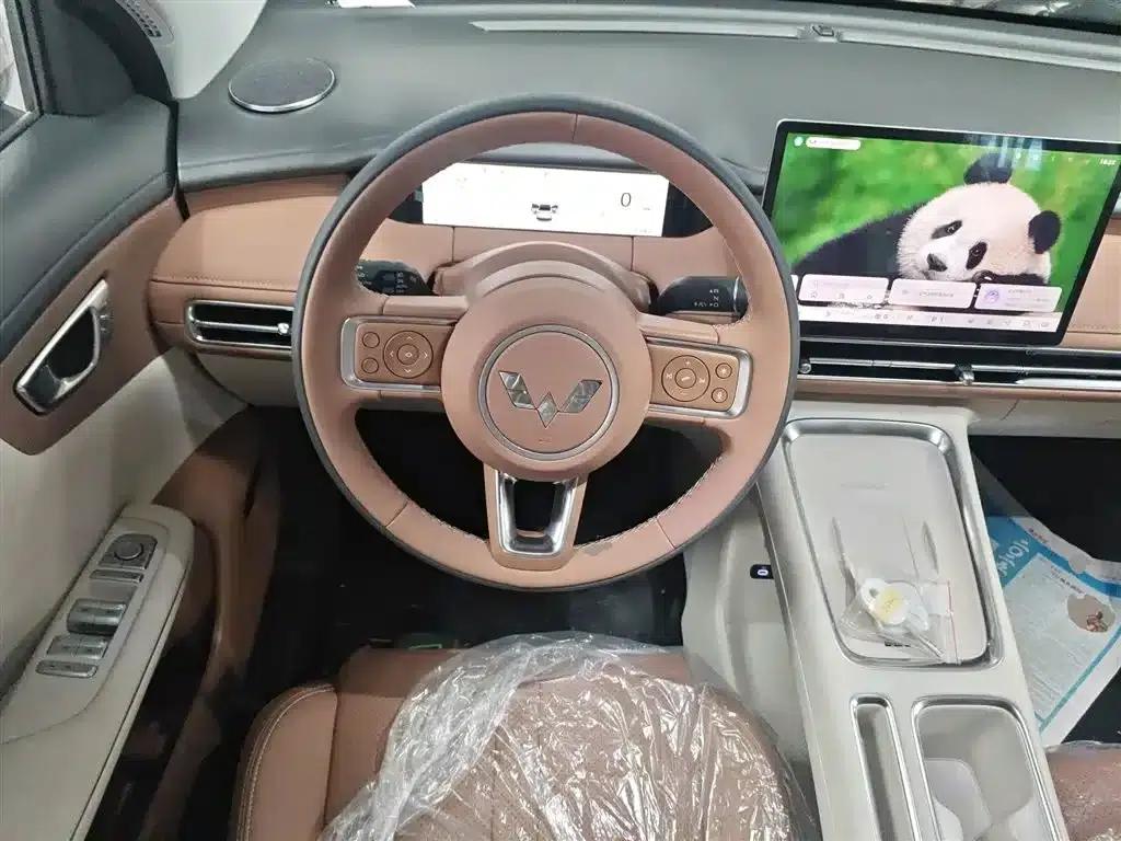 Bingo S 2025 Model 325km Premium Edition — миниатюра 11