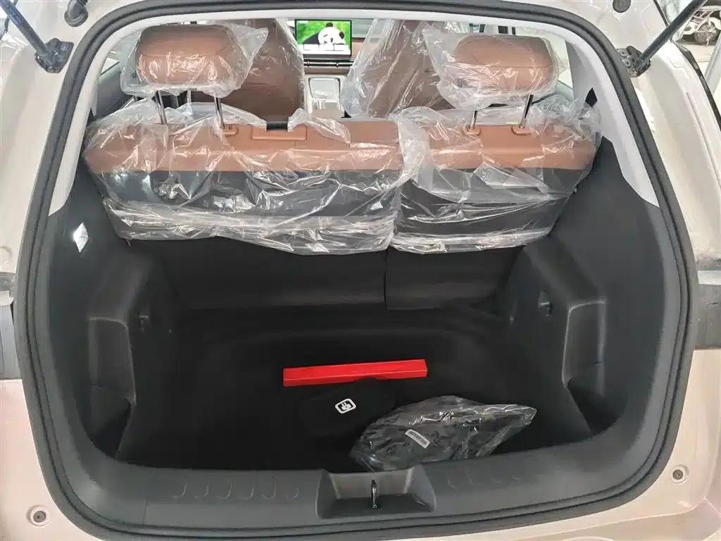 Bingo S 2025 Model 325km Premium Edition — миниатюра 19