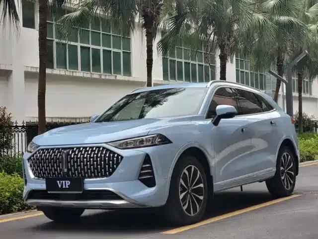 Wei brand Mocha 2021 2.0T 2WD Extra Rich Edition