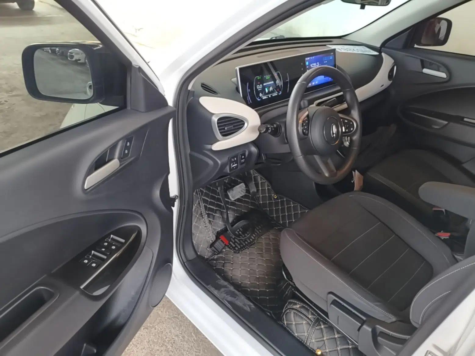 ORA White Cat 2020 305 km Luxury Version — миниатюра 19