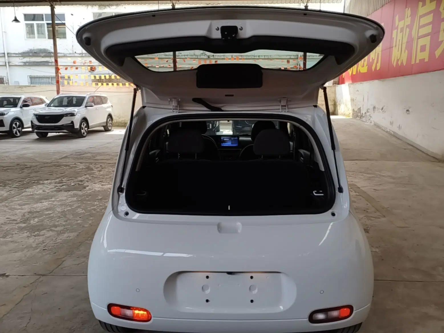 ORA White Cat 2020 305 km Luxury Version — миниатюра 22