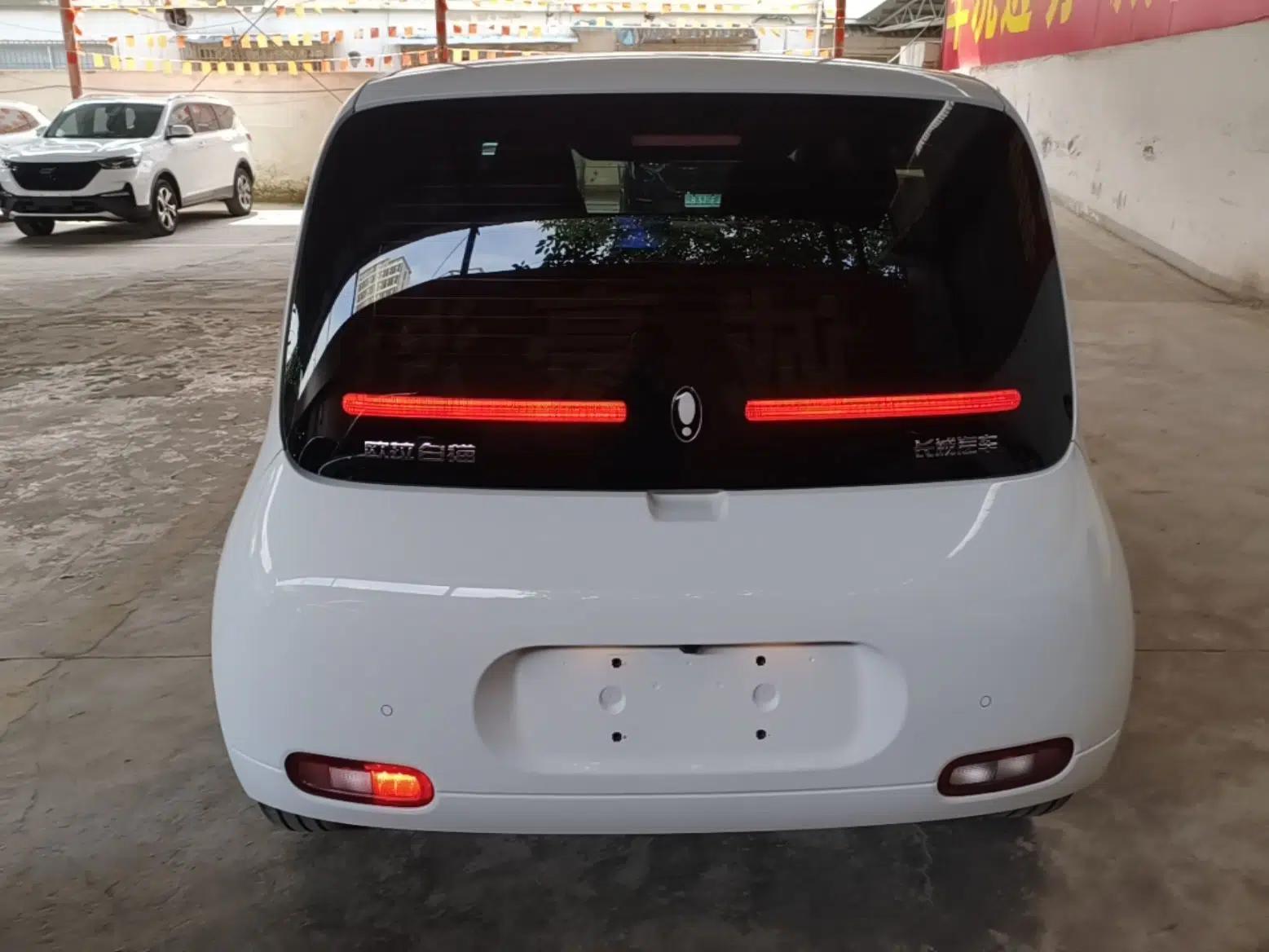 ORA White Cat 2020 305 km Luxury Version — миниатюра 5