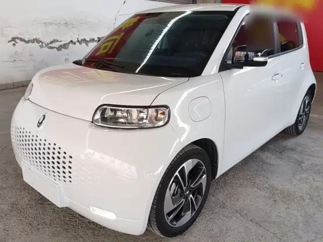 ORA White Cat 2020 305 km Luxury Version