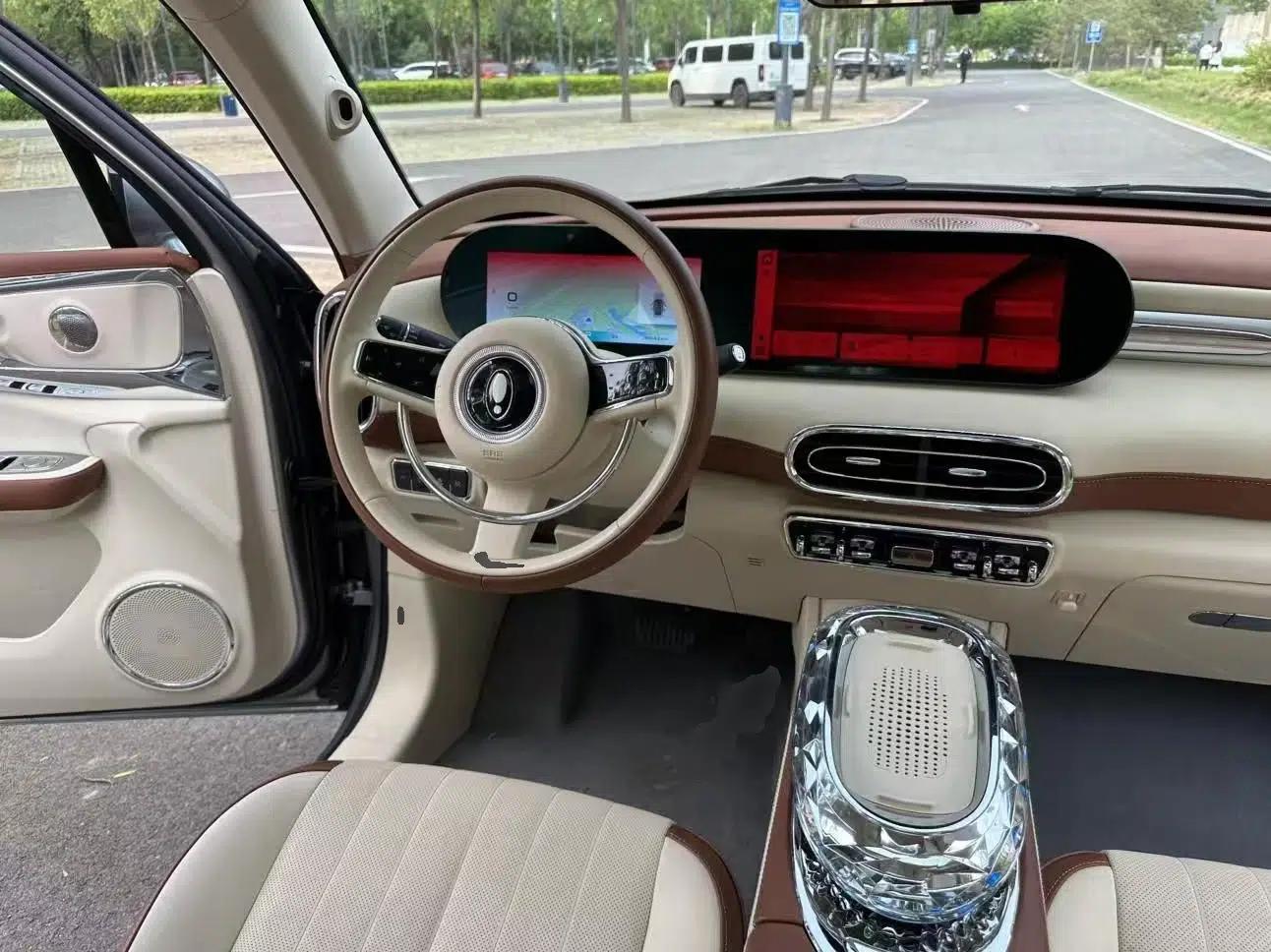 ORA Ballet Cat 2023 401 km Luxury Version — миниатюра 14