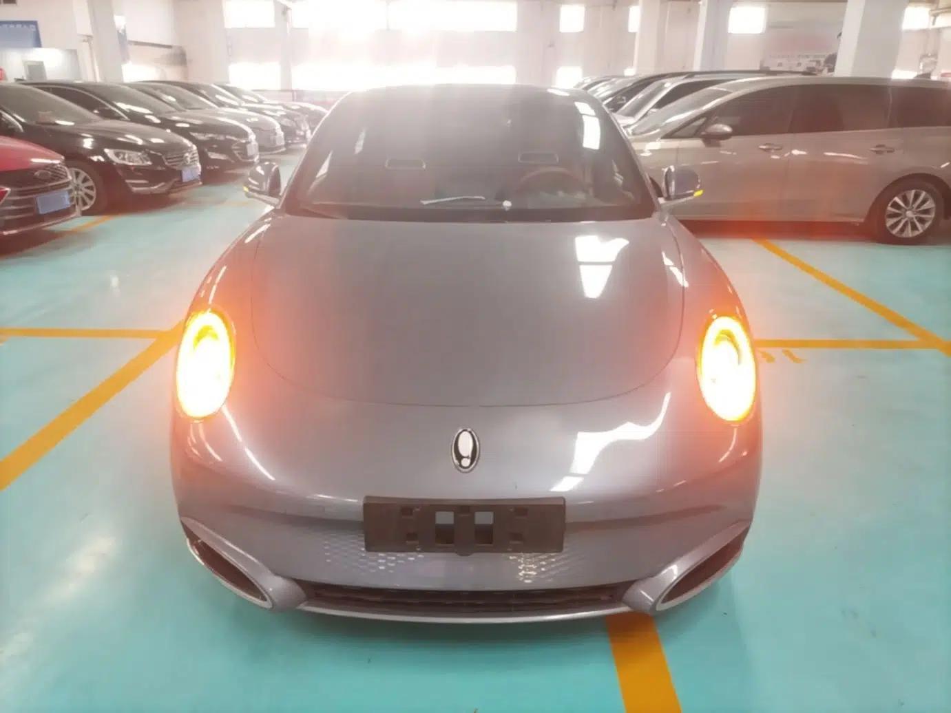 ORA Lightning Cat 2022 555 km Luxury Edition — миниатюра 2