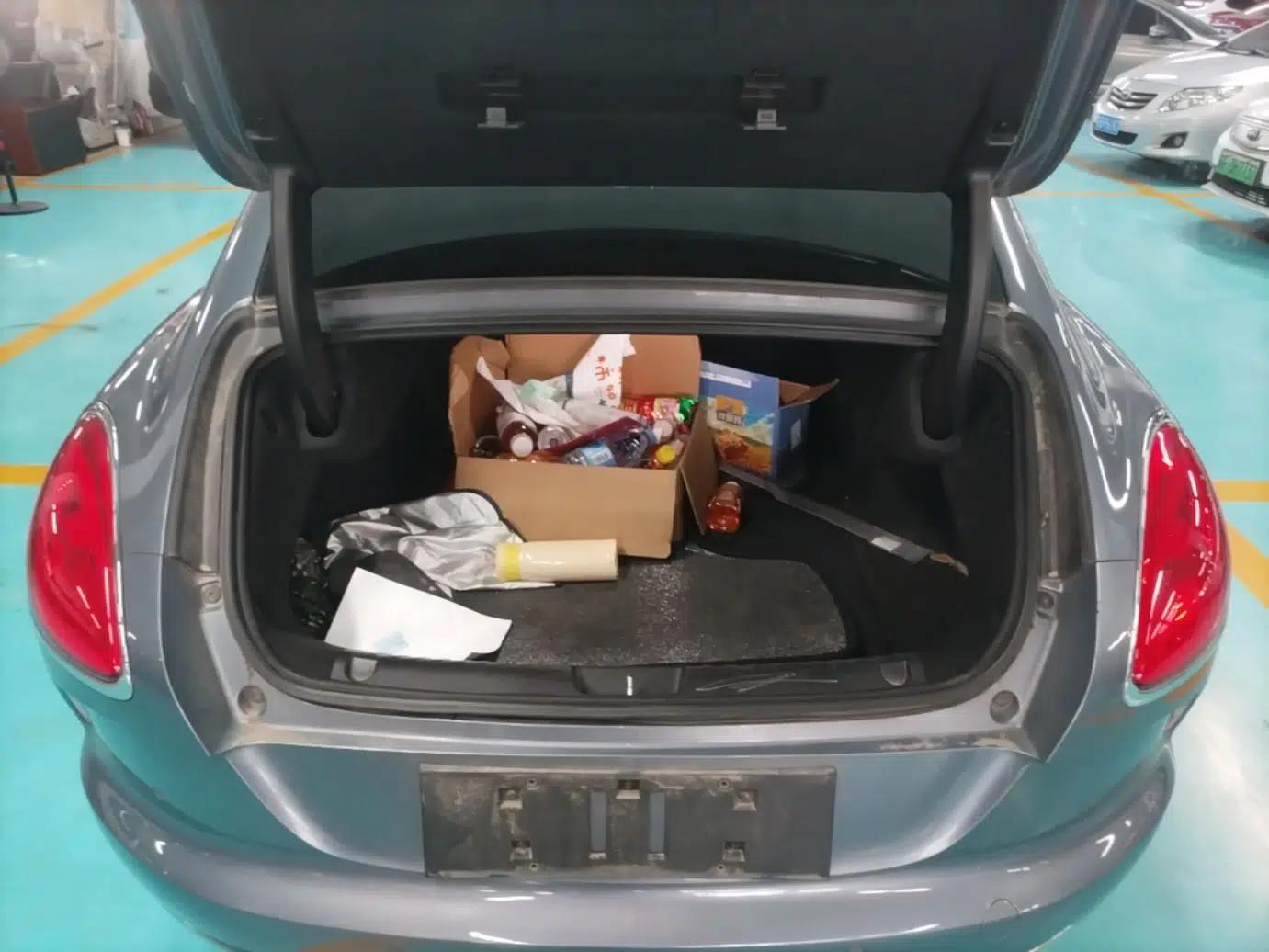 ORA Lightning Cat 2022 555 km Luxury Edition — миниатюра 21