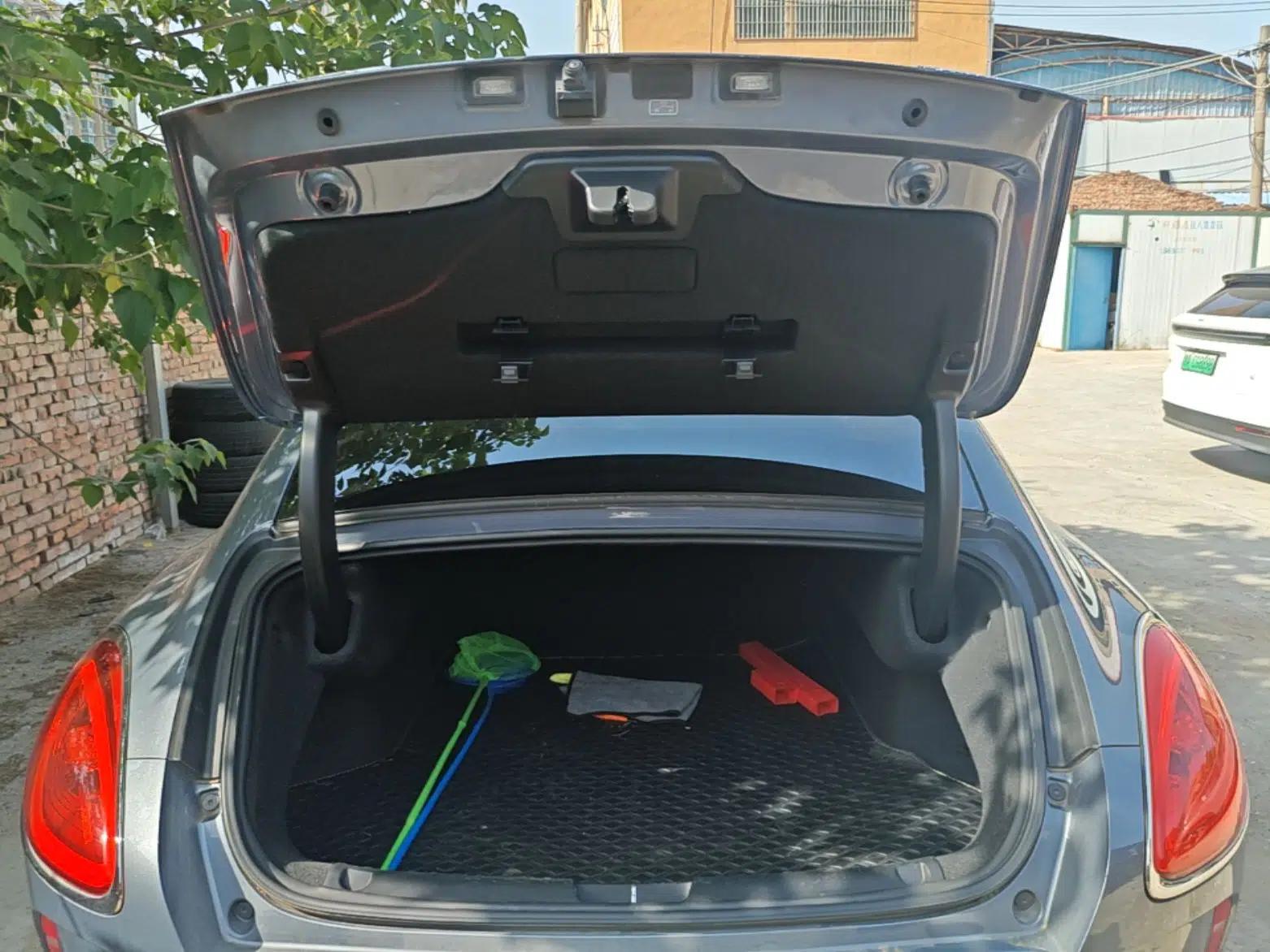 ORA Lightning Cat 2022 555 km Luxury Edition — миниатюра 22