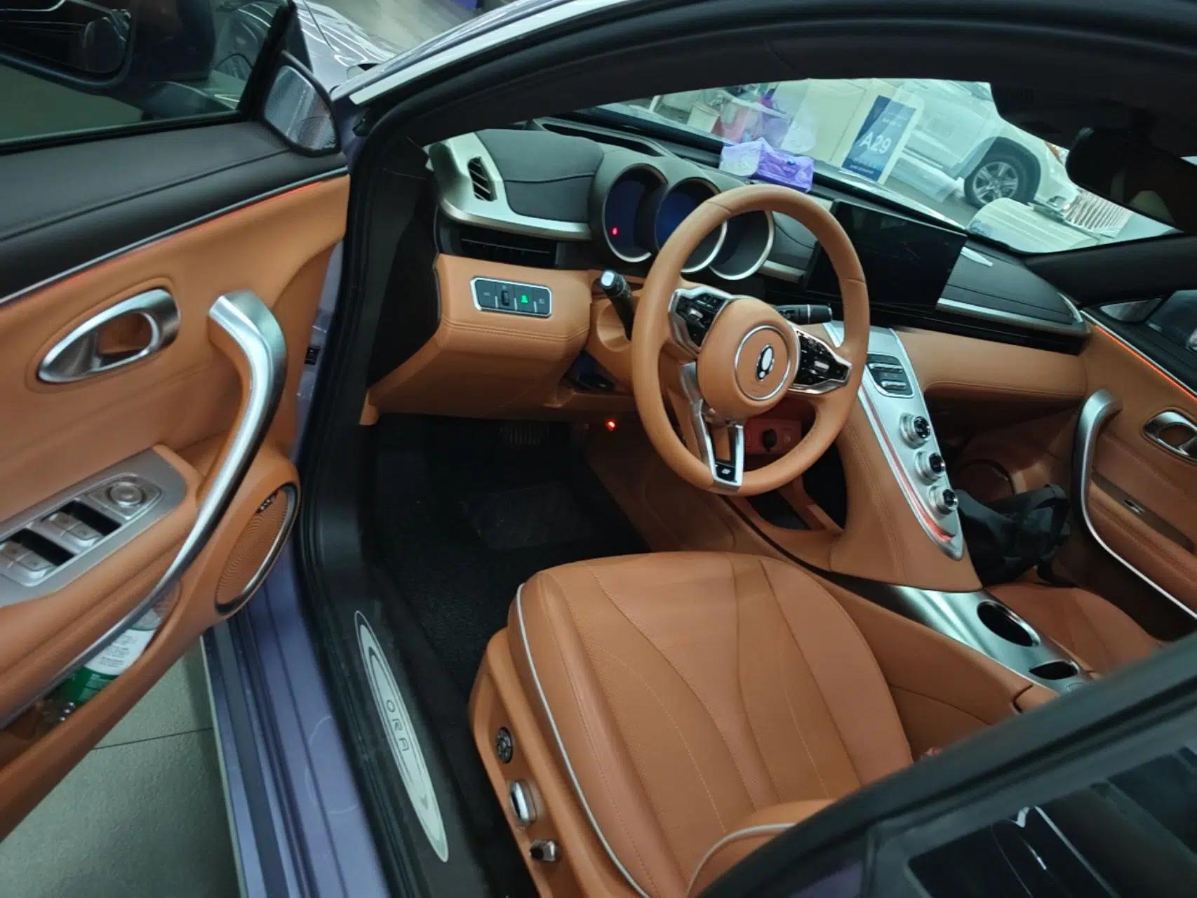 ORA Lightning Cat 2022 555 km Luxury Edition — миниатюра 18