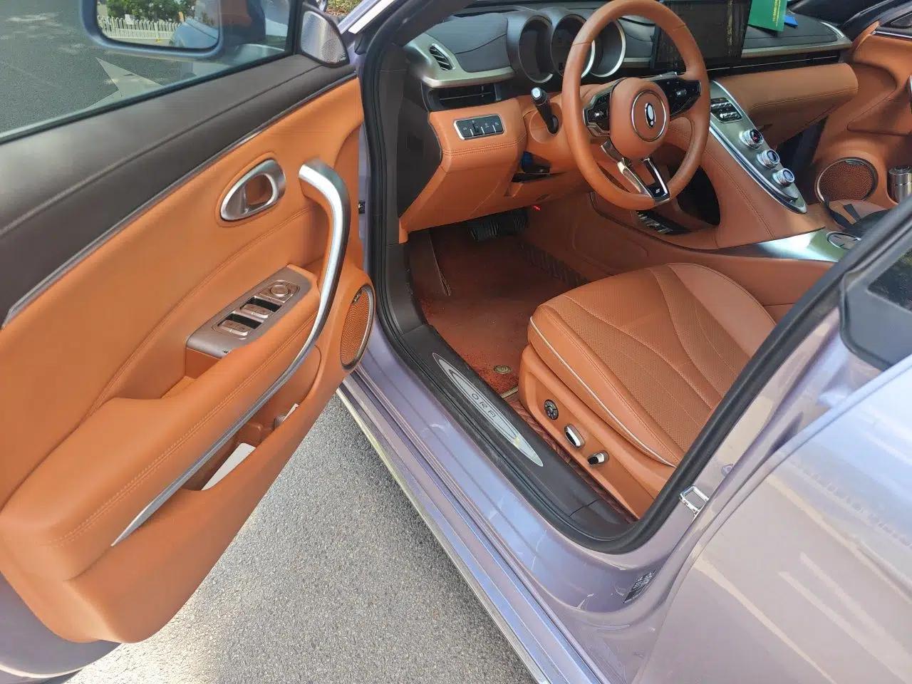 ORA Lightning Cat 2022 555 km Luxury Edition — миниатюра 19