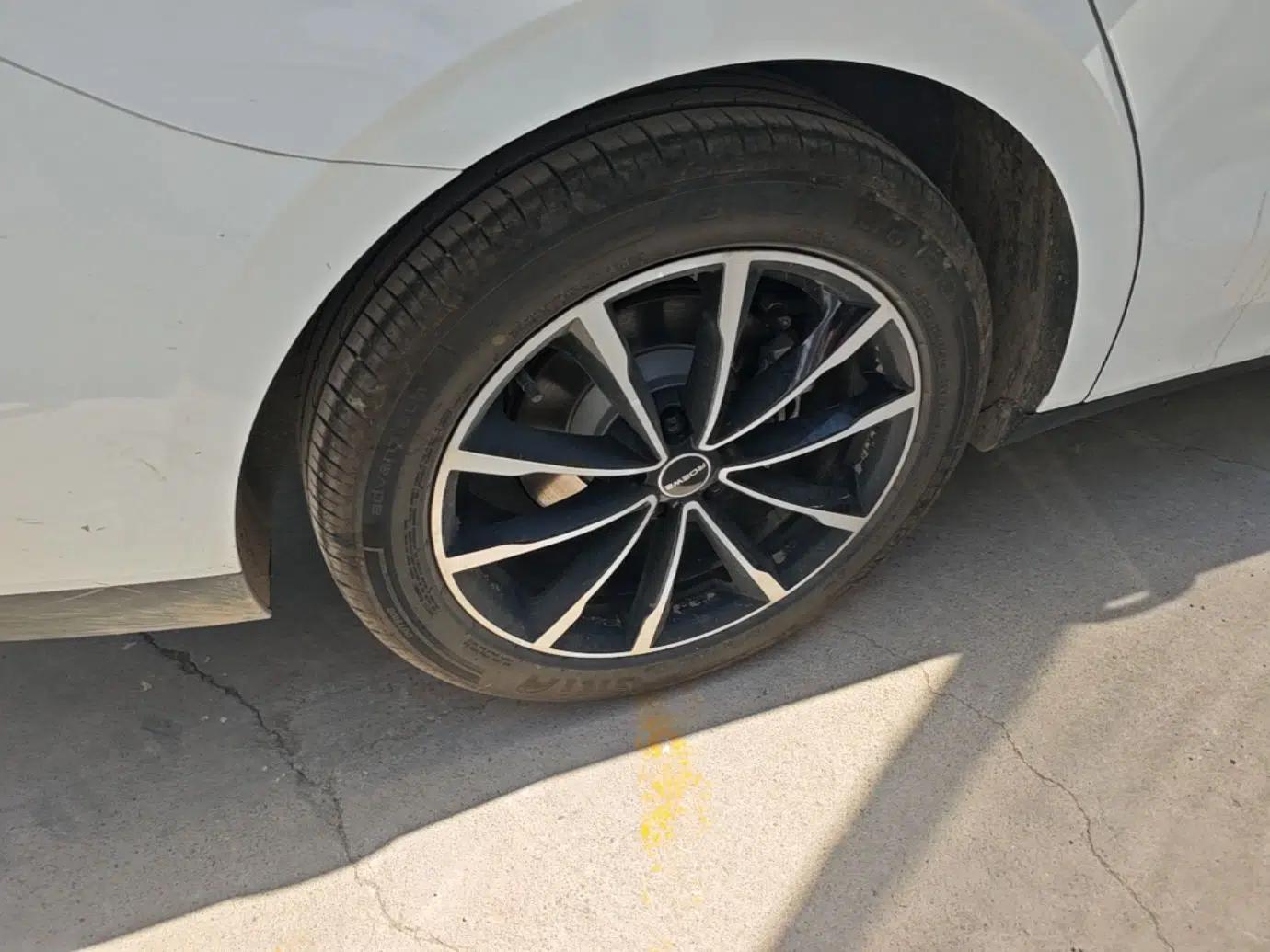 Roewe D7 2025 DMH 125km World Champion Edition — миниатюра 10