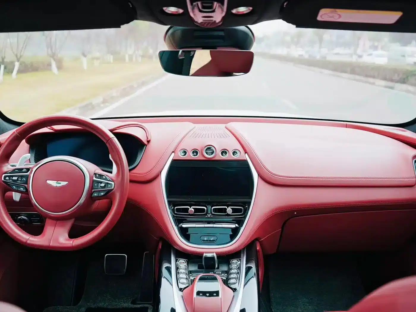 Aston Martin DBX 2022 3.0T STRAIGHT-SIX — миниатюра 9
