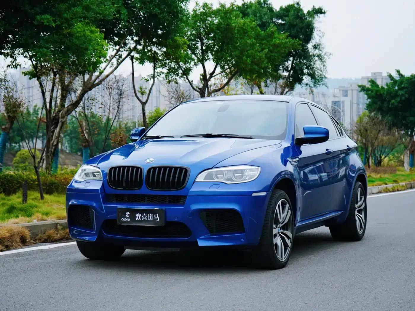 2010 BMW X6 M — миниатюра 1