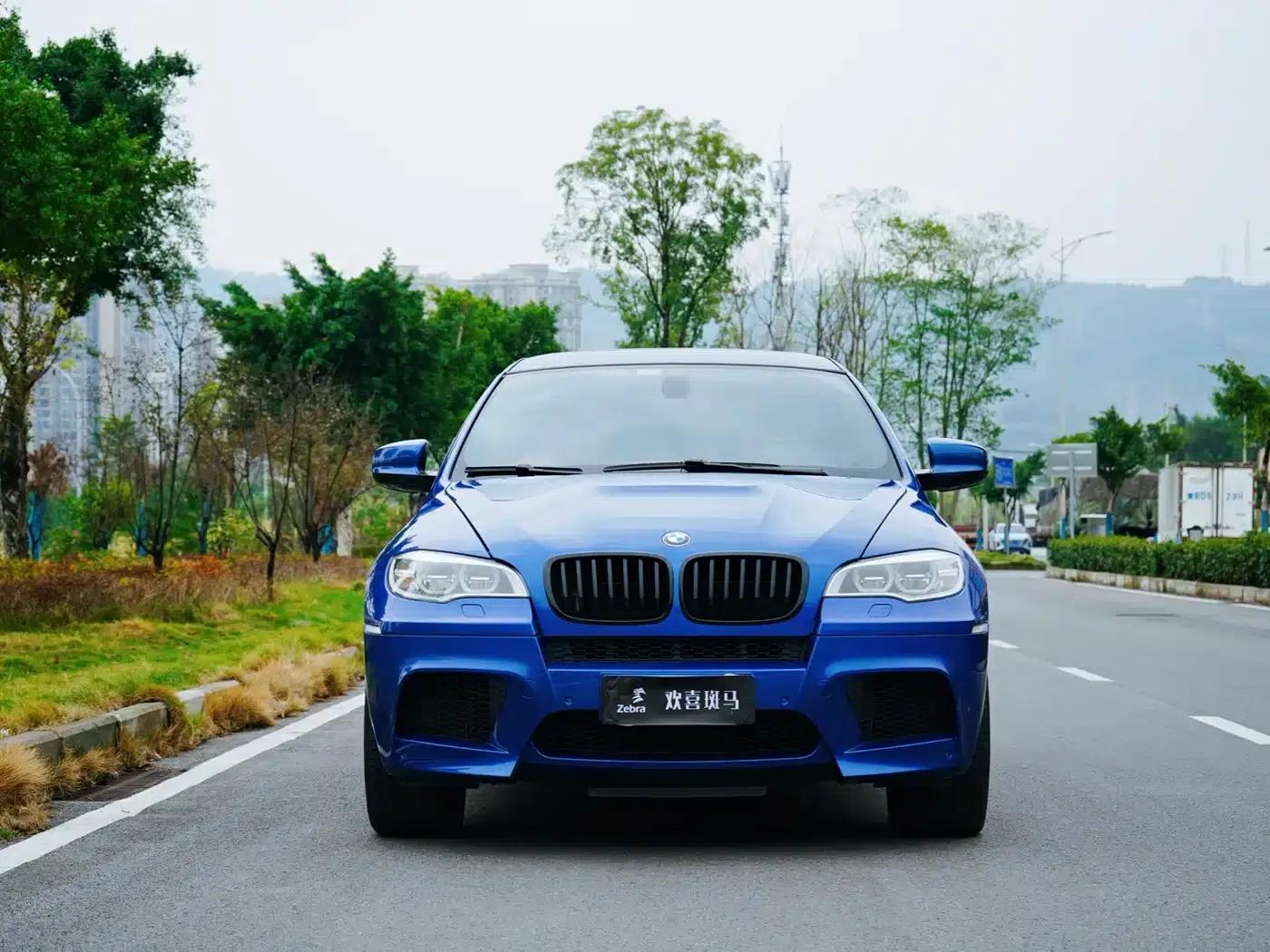 2010 BMW X6 M — миниатюра 2