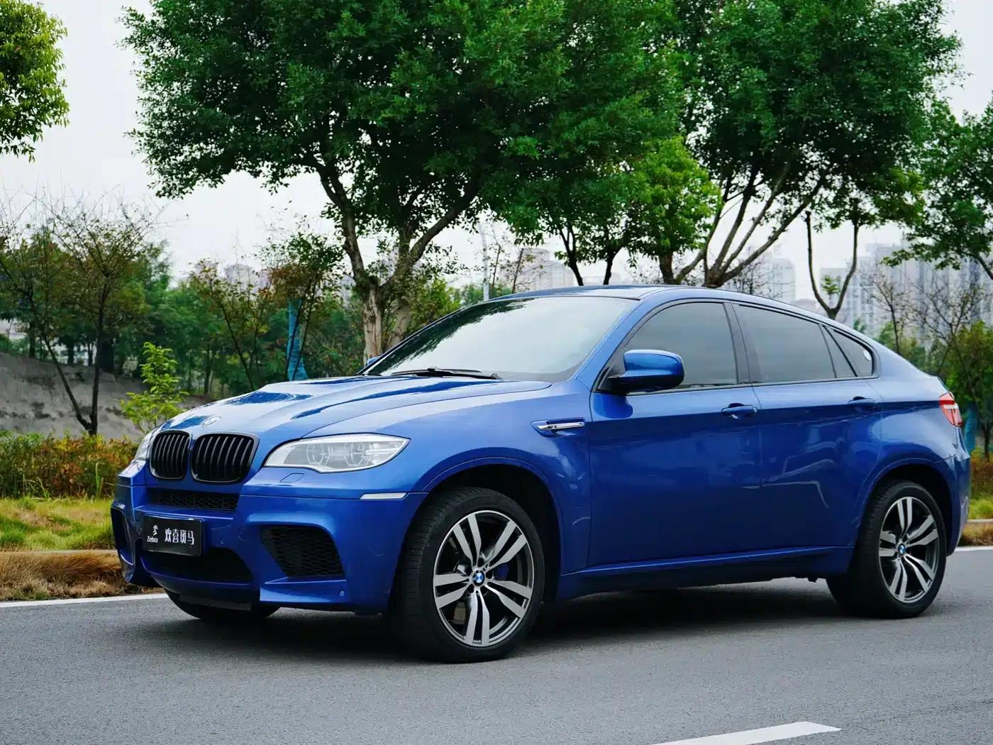 2010 BMW X6 M — миниатюра 3