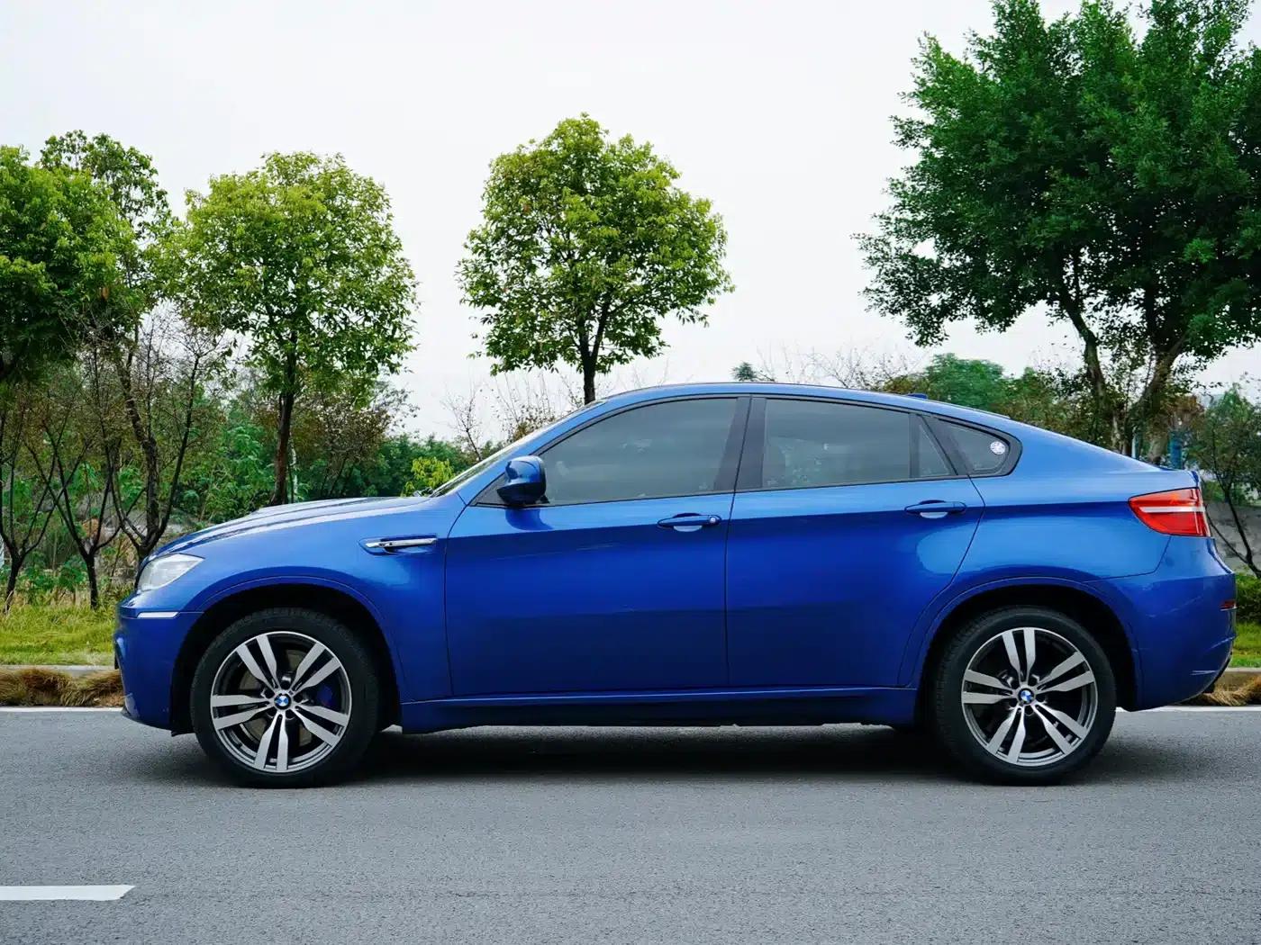 2010 BMW X6 M — миниатюра 4