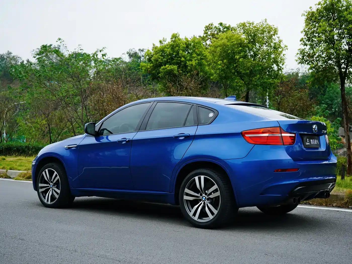 2010 BMW X6 M — миниатюра 5