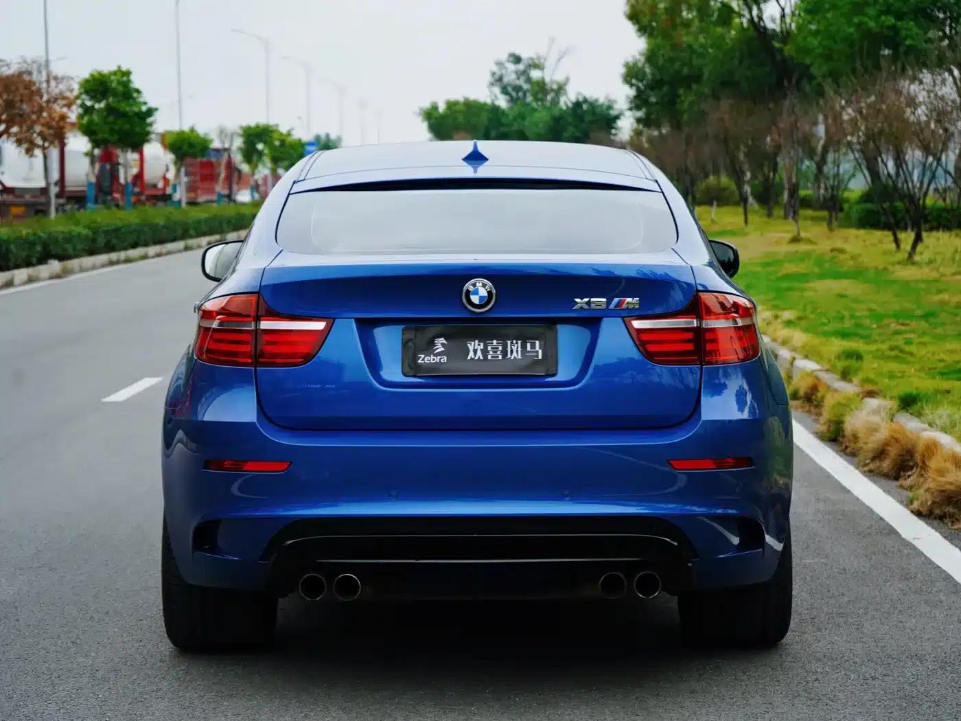 2010 BMW X6 M — миниатюра 6