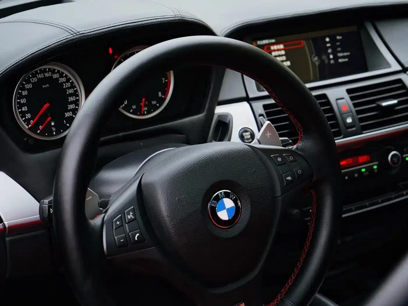 2010 BMW X6 M — миниатюра 7