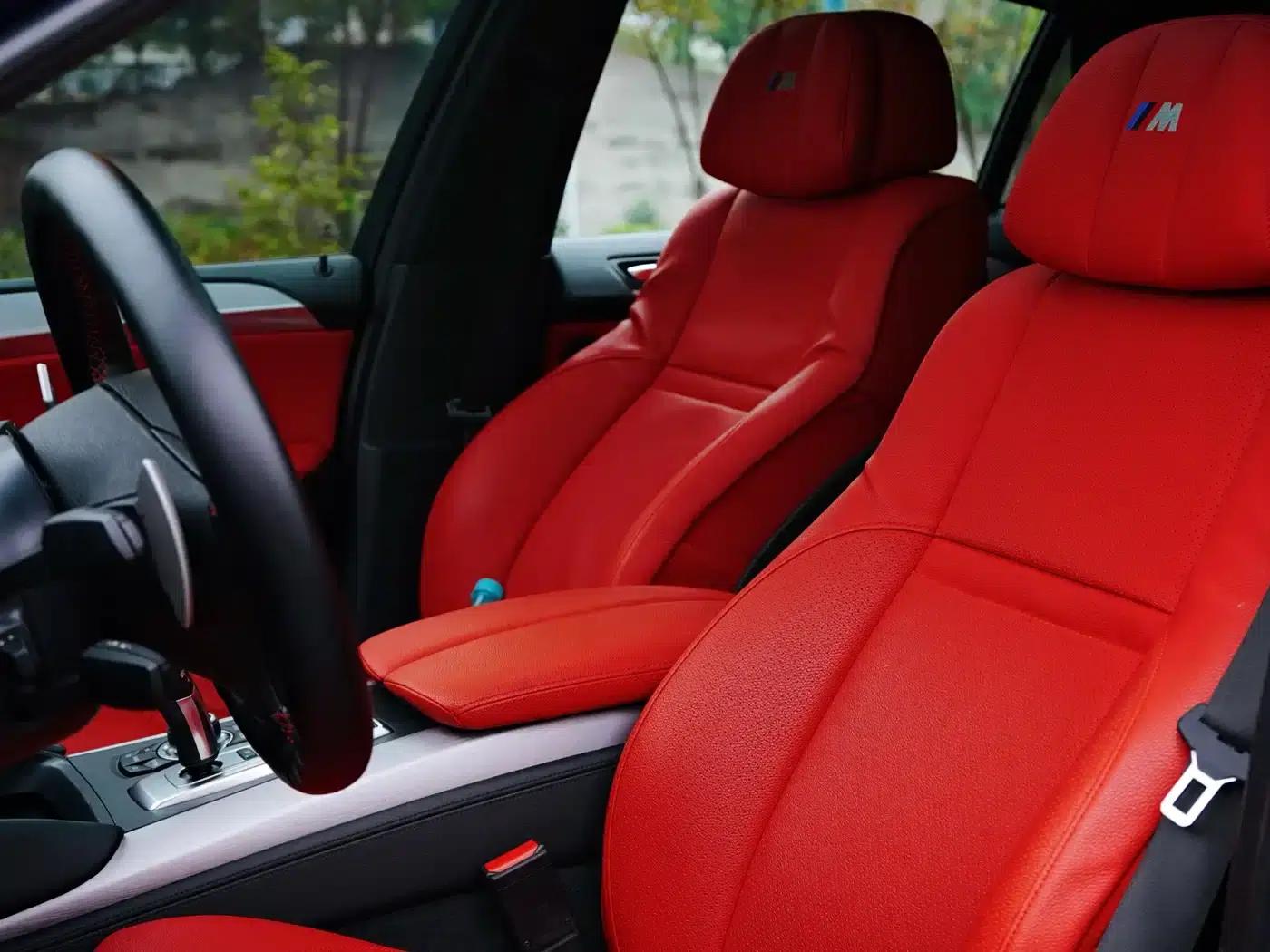 2010 BMW X6 M — миниатюра 9