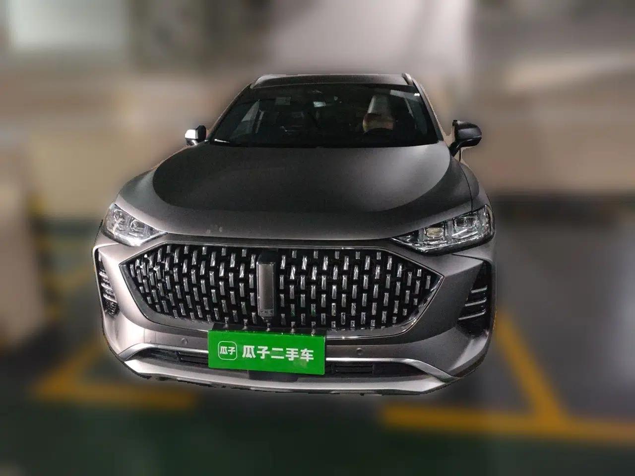 Wey Mocha 2021 2.0T Two-Wheel-Drive Premium Edition — миниатюра 2