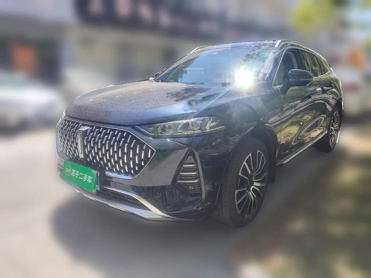 Wey Mocha 2021 2.0T Two-Wheel-Drive Ultra-Strong Version — миниатюра 1