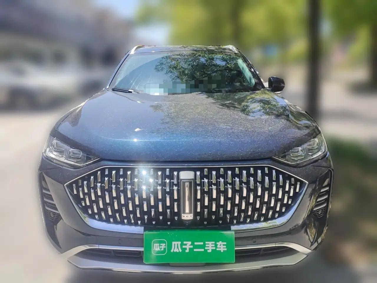 Wey Mocha 2021 2.0T Two-Wheel-Drive Ultra-Strong Version — миниатюра 2