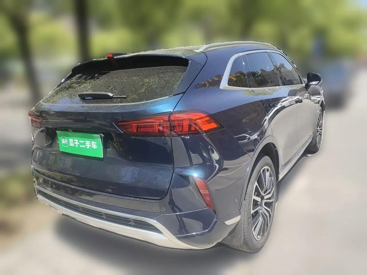 Wey Mocha 2021 2.0T Two-Wheel-Drive Ultra-Strong Version — миниатюра 6