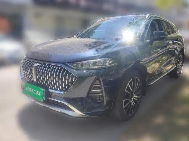 Wey Mocha 2021 2.0T Two-Wheel-Drive Ultra-Strong Version