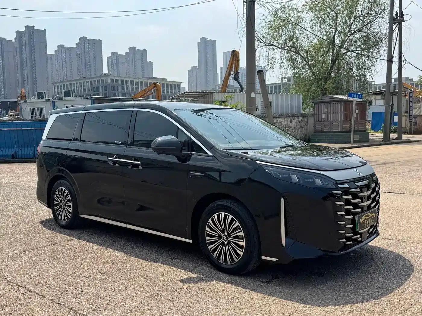 Summer 2025 DM-i 1.5T 100km Super Edition — миниатюра 4
