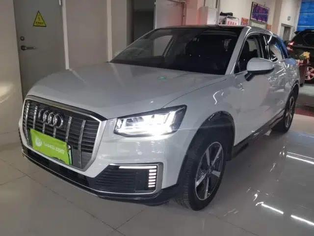 Audi Q2L e-tron 2019 Q2L e-tron Pure Electric Smart Enjoyment Model