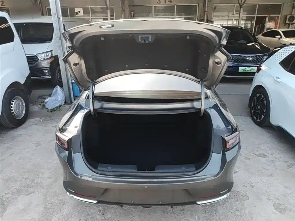 Yida 2023 Blue Whale NE 1.5T GDI DCT Premium Edition — миниатюра 19