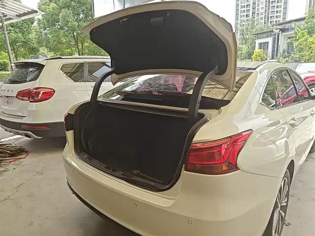 Ruicheng CC 2021 Blue Whale Edition 1.5T DCT Luxury — миниатюра 19