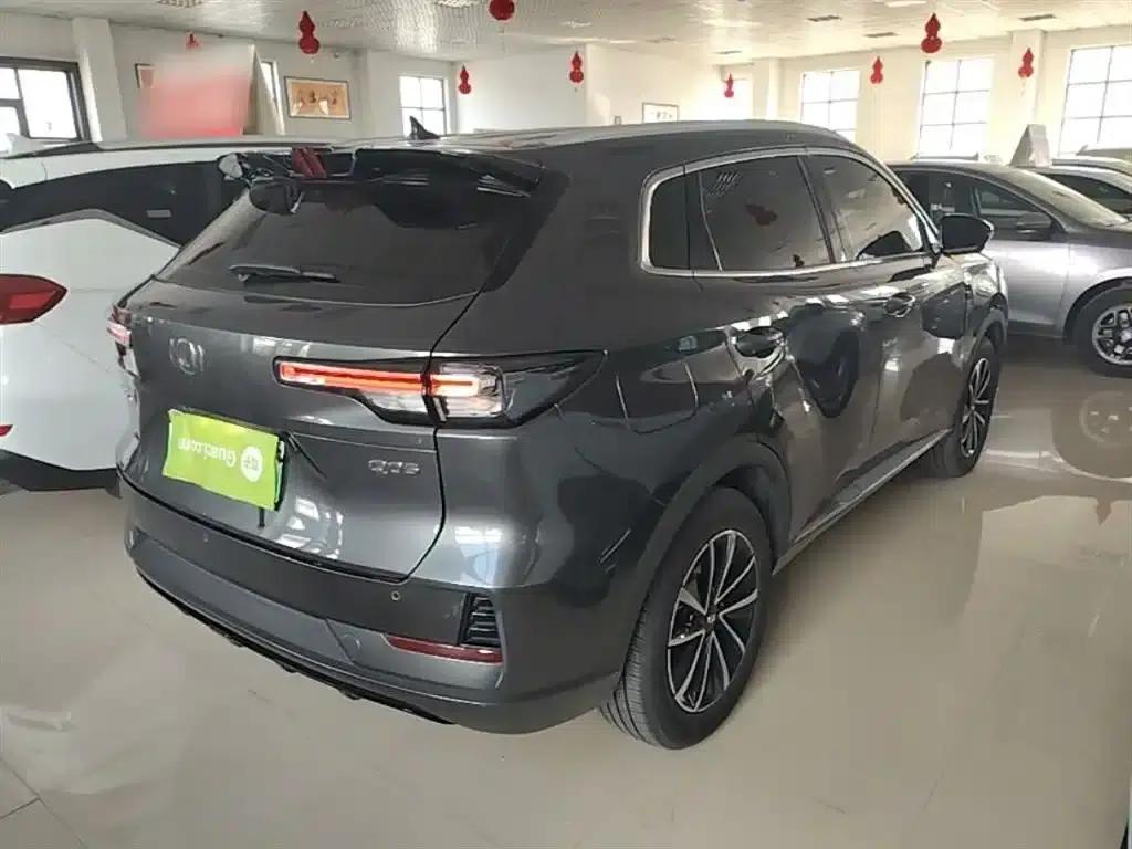 Changan Qiyuan Q05 Classic 2025 Model - Truly Delicious Edition 125 Navigator — миниатюра 7