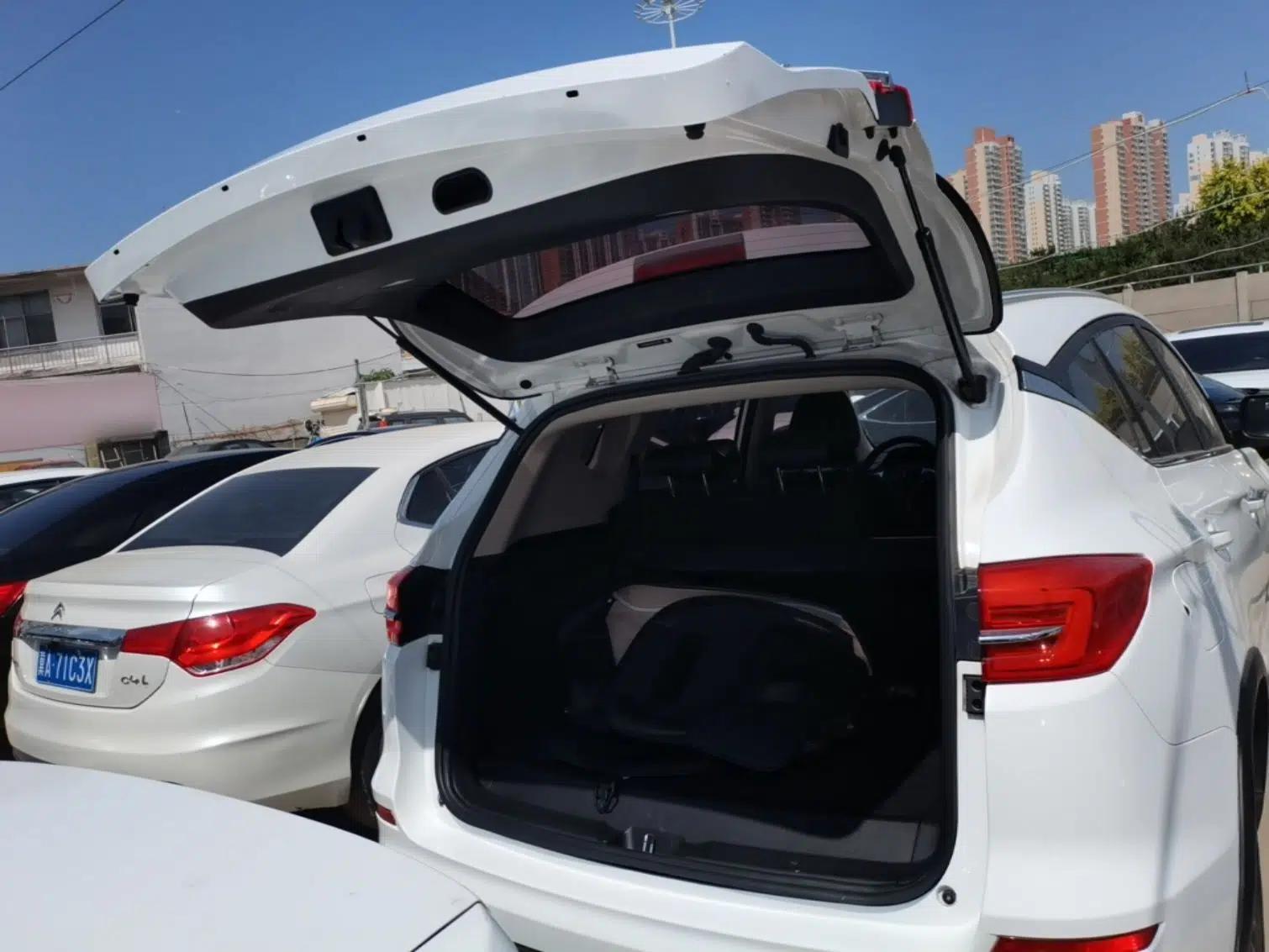 BYD Song New Energy 2019 Song DM 1.5TID Smart Connect Dynamic Model — миниатюра 21