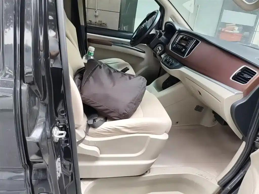 Lingzhi New Energy 2020 Long-Range Edition Comfort 7-Seater — миниатюра 25
