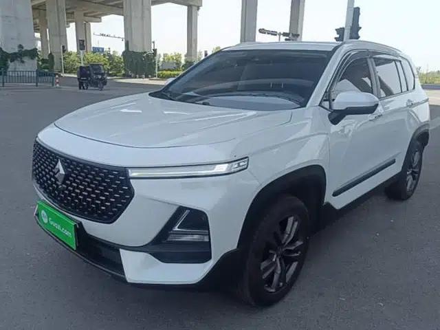 Baojun RS-5 2019 1.5T Manual Super Connected Luxury Edition China VI