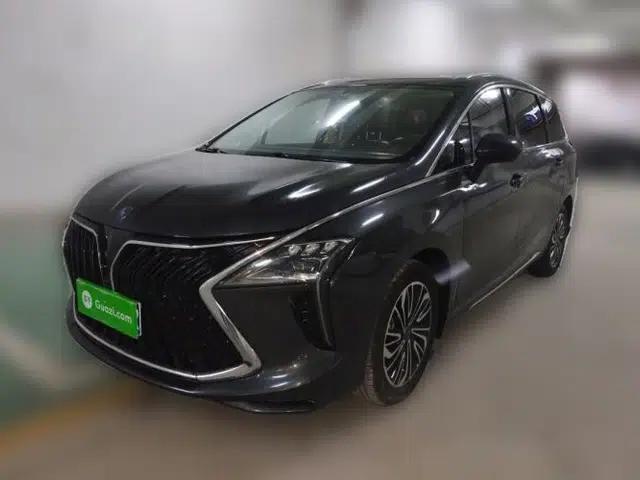 FORTHING Yacht 2022 1.5T DCT Yangfan Edition