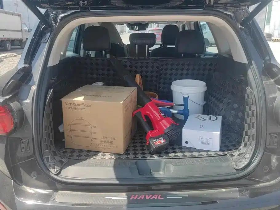 Haval Big Dog PLUS 2023 1.5T 2WD Trendy Wild Edition Plus — миниатюра 4
