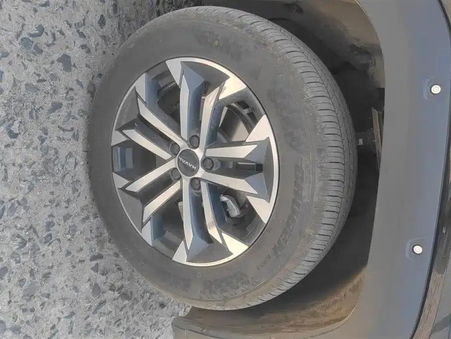 Haval Big Dog PLUS 2023 1.5T 2WD Trendy Wild Edition Plus — миниатюра 6