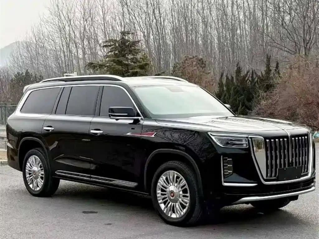Hongqi Golden Sunflower National Glory 2022 4.0T Premium Flagship Edition 4-seater — миниатюра 3