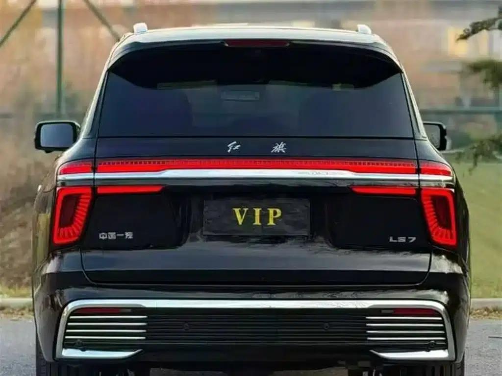 Hongqi Golden Sunflower National Glory 2022 4.0T Premium Flagship Edition 4-seater — миниатюра 5