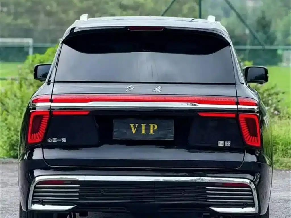 Hongqi Golden Sunflower National Glory 2022 4.0T Premium Flagship Edition 4-seater — миниатюра 4