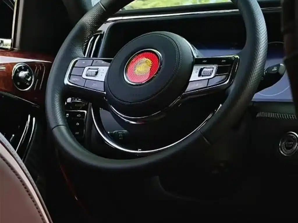 Hongqi Golden Sunflower National Glory 2022 4.0T Premium Flagship Edition 4-seater — миниатюра 8