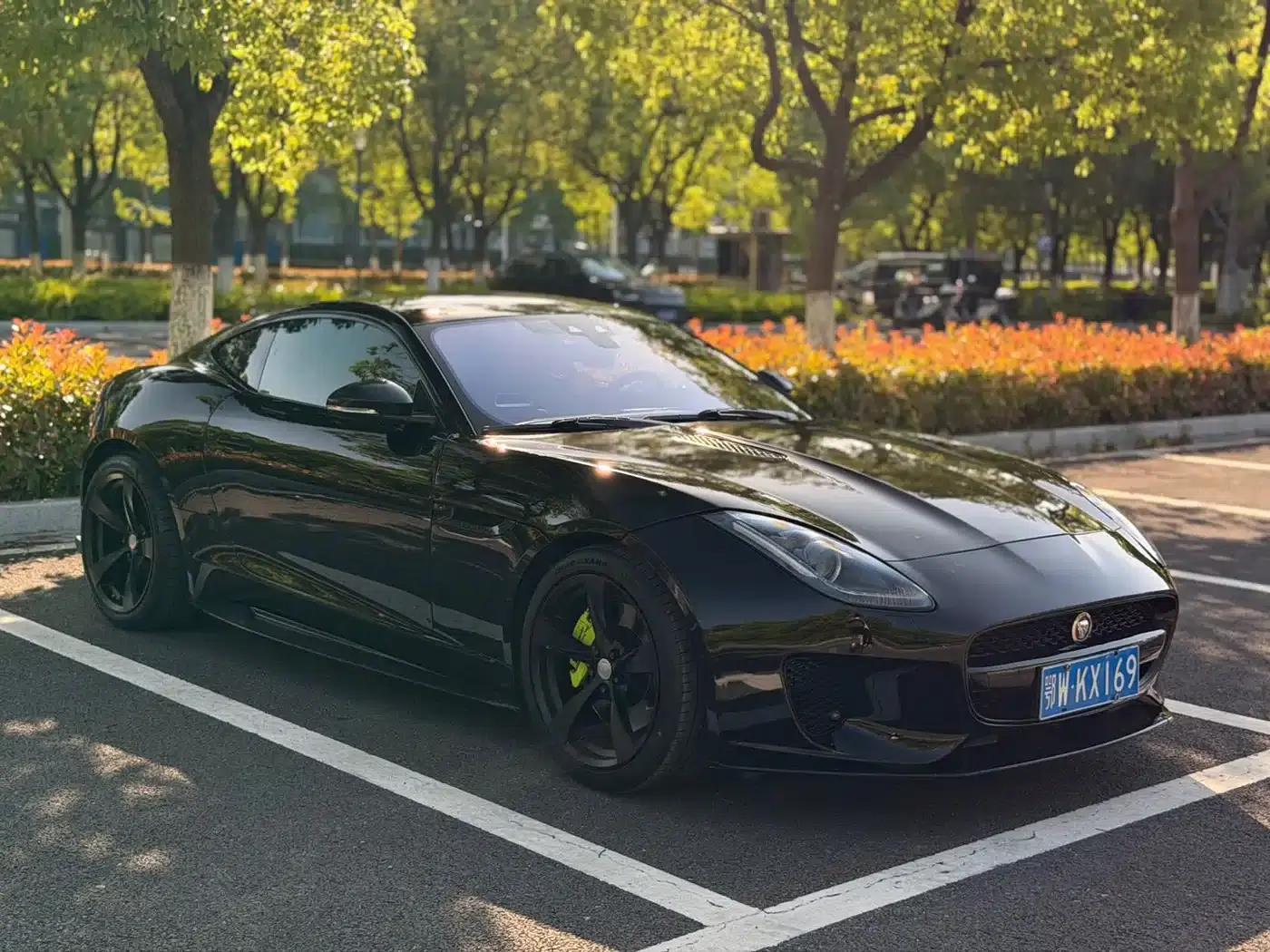 Jaguar F-TYPE 2019 2.0T Hardtop — миниатюра 4