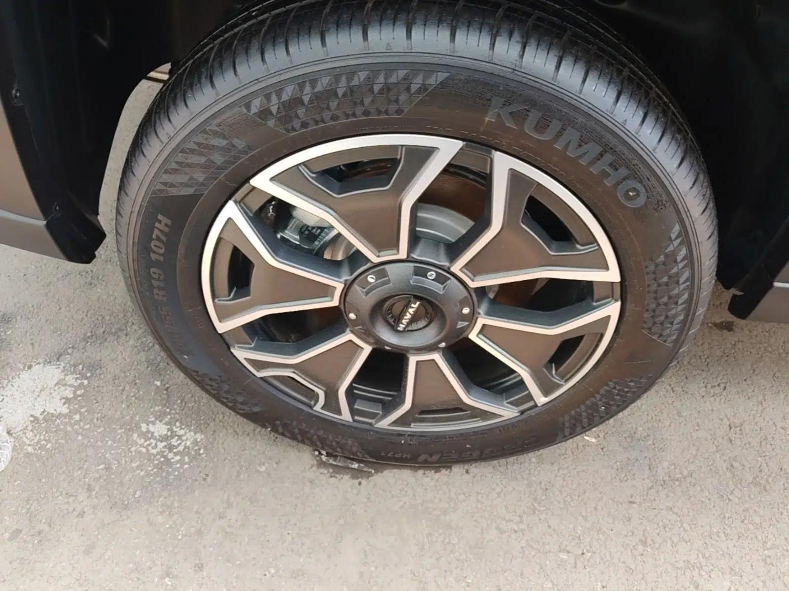 Haval H Dog New Energy 2024 Hi4 102km Trend Electric Version Plus — миниатюра 10