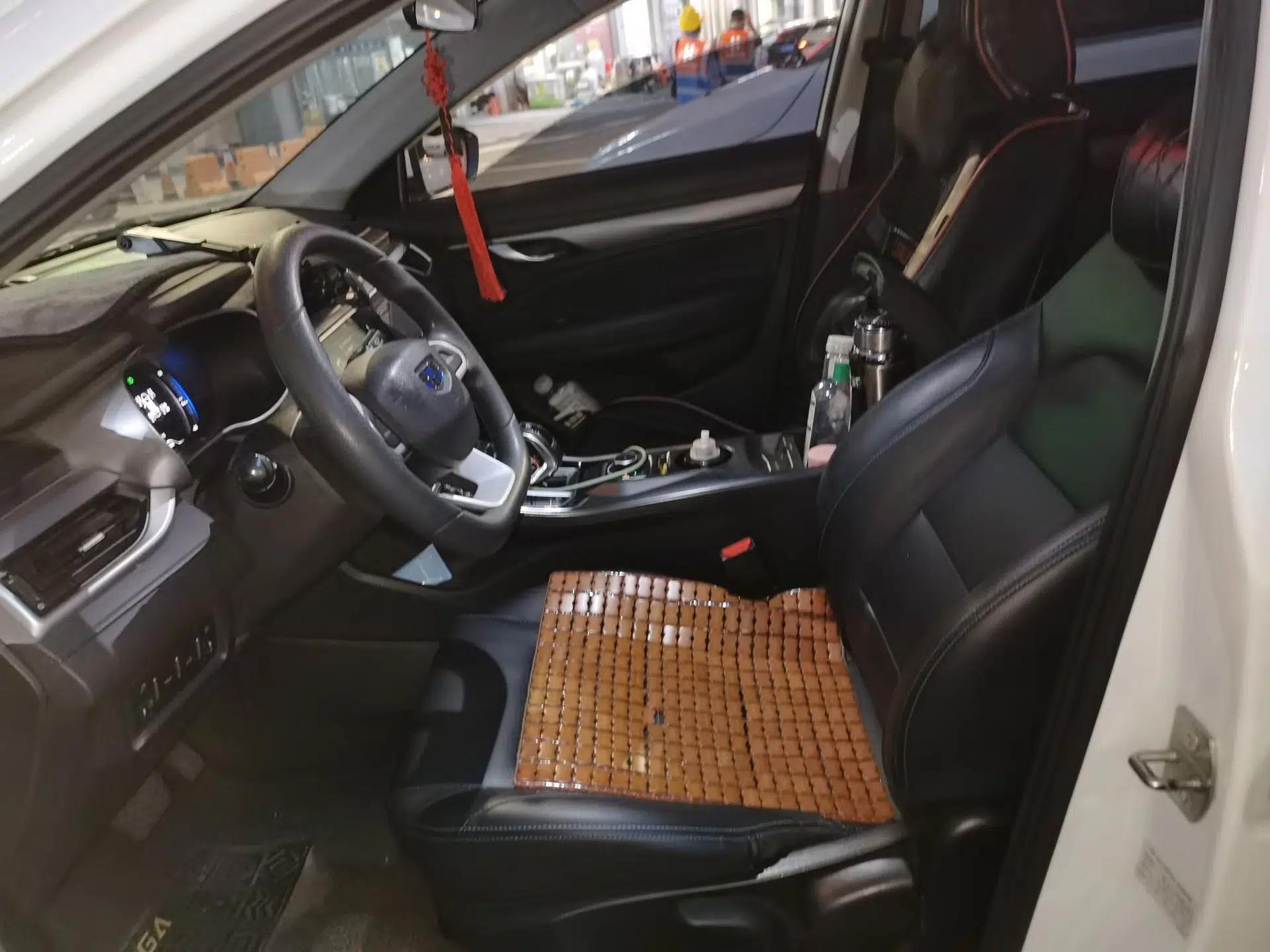 Geely Auto Emgrand New Energy 2019 EV500 Ambition Standard Range Edition — миниатюра 16