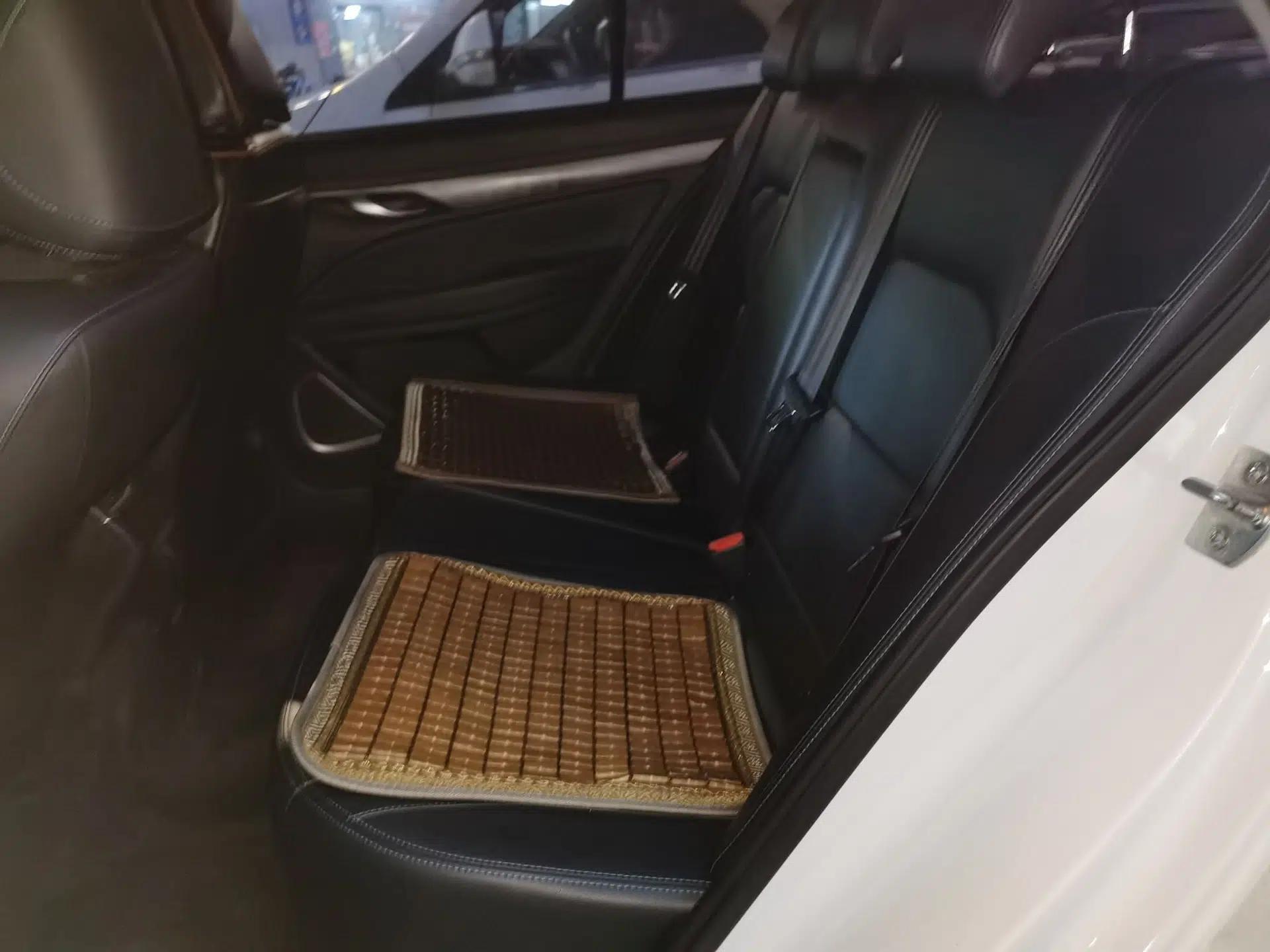 Geely Auto Emgrand New Energy 2019 EV500 Ambition Standard Range Edition — миниатюра 18